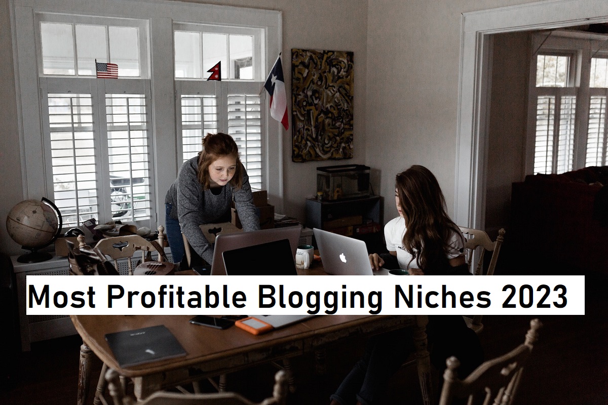 Most Profitable Blogging Niches