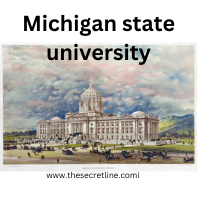 michigan state university