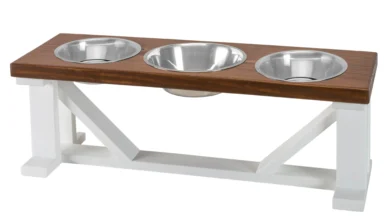 How a Three Bowl Elevated Dog Feeder Prepares Your Pet for a Cozy and Clean Fall